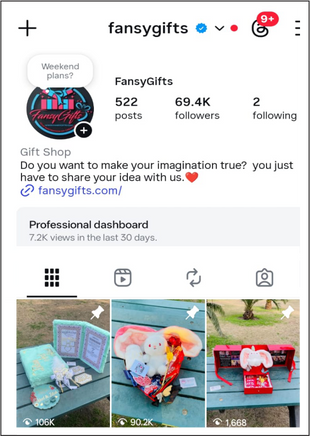 Instagram Profile